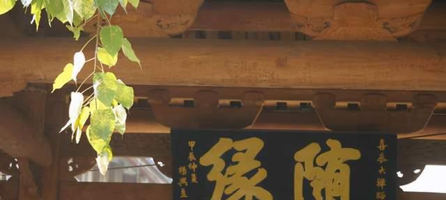 一念逍遥轮回池玩法详解（打造个性修炼之路）