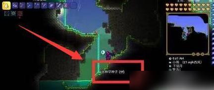 探寻泰拉瑞亚水枪的神秘之处（解锁泰拉瑞亚水枪的获取方法和使用技巧）