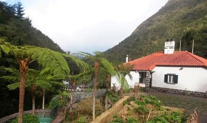 《泰拉瑞亚》冻土鳟鱼在哪（探秘苔原鳟鱼的家园）