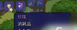 泰拉瑞亚仙灵的神秘力量（解析仙灵的作用与功效）