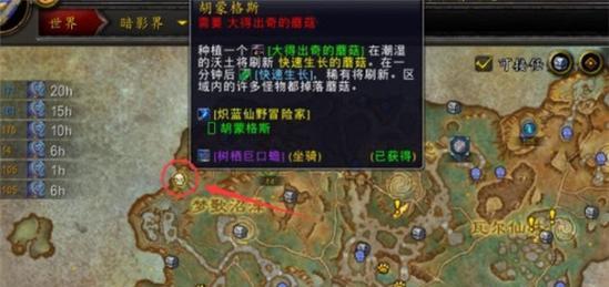 《海盗议会自由镇老2副本全攻略》（魔兽世界的冒险家必看）