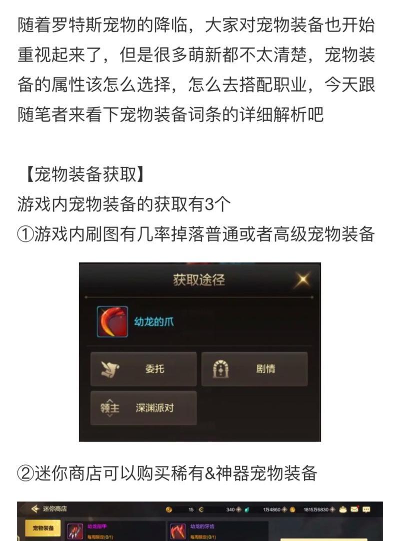 地下城新手宠物装备获取方法是什么？
