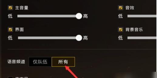 队友说话音量在绝地求生中如何调整？