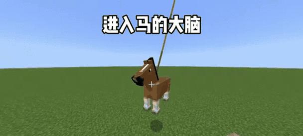 我的世界中马匹如何繁殖？需要满足什么条件？