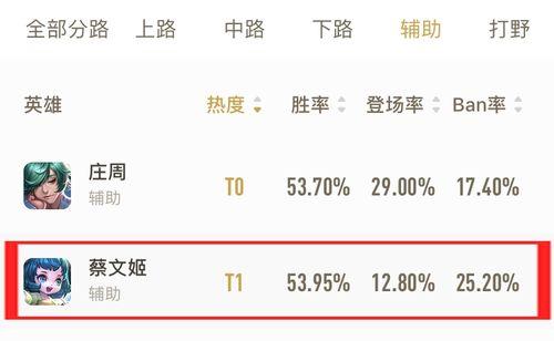 王者荣耀国服第一蔡文姬出装详解