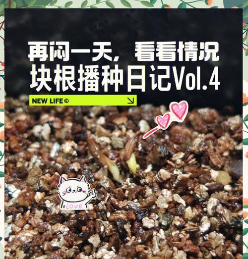 发芽啦植物全解锁通关攻略（探索植物的奥秘）