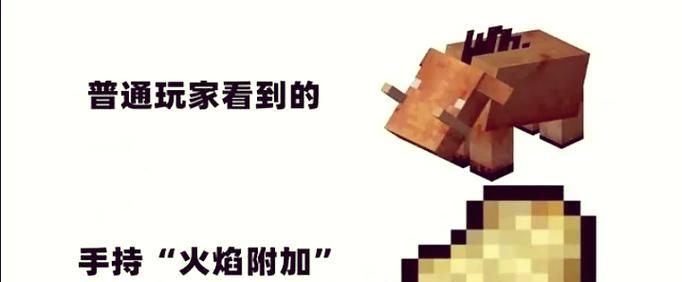 我的世界中如何点燃火堆？火堆的正确生火方法是什么？