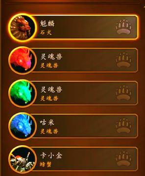 魔兽战斗宠物使用技巧有哪些？