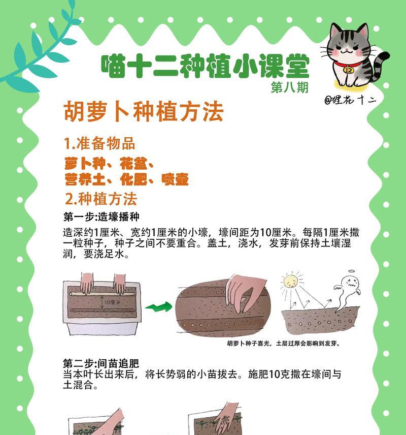 手机上我的世界种地技巧是什么？如何提高种植效率？